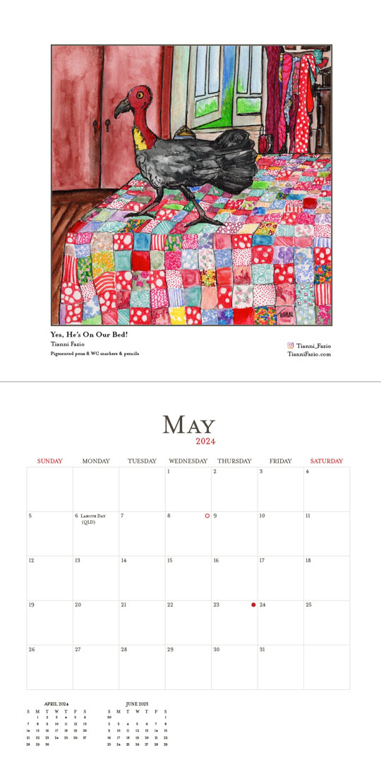May 2024 calendar page showcasing an illustration called 'You, Me On Our Bed' by Tianni Fazio. The image portrays a bush turkey standing on a vibrant patchwork quilt, set against a backdrop of interior home elements.