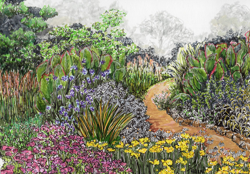 Hand-drawn illustration of a vibrant garden with a winding path, showcasing diverse flora including irises, daffodils, and lush foliage. This sample garden portrait demonstrates the artist's ability to capture the unique character and layout of personal gardens.