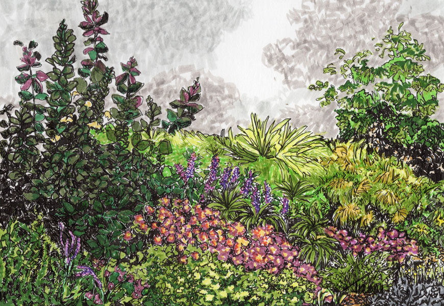 Garden illustration